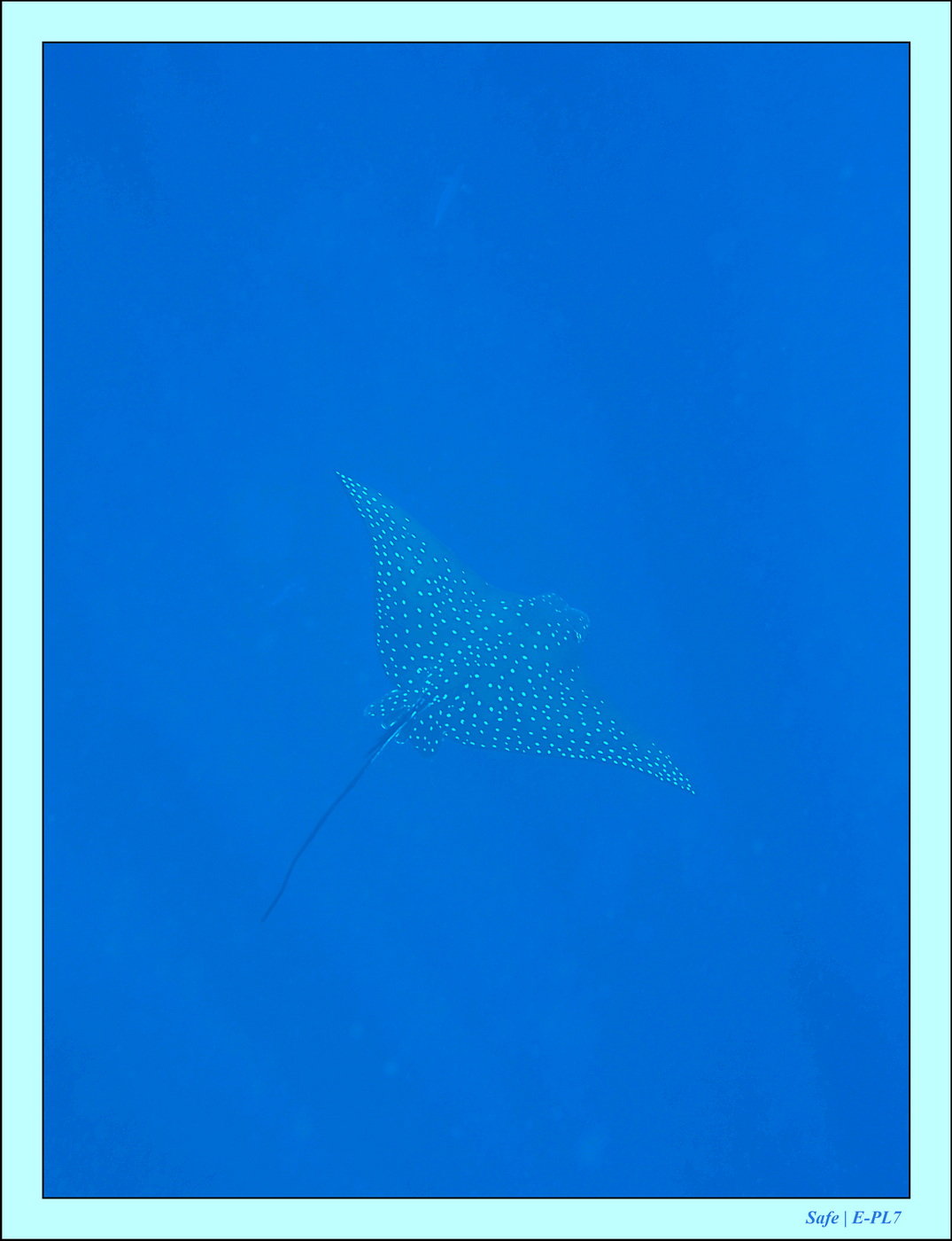 2023 - 07 - Sandies Bathala - 109